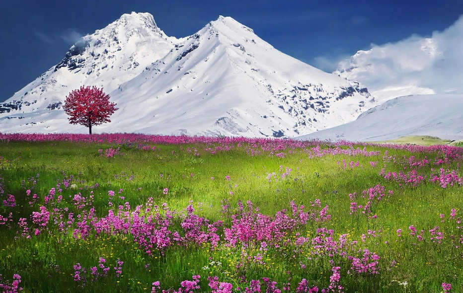                分片存储是什么？其原理与优势详解